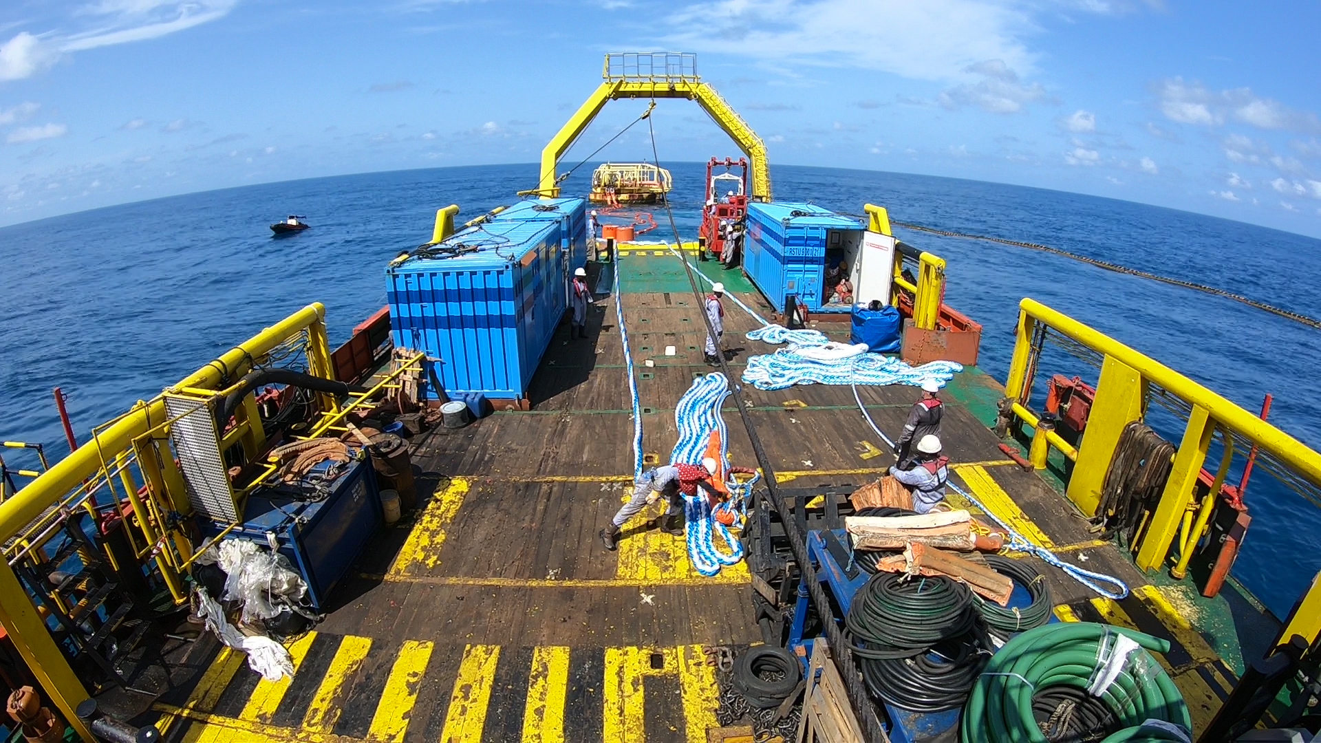 Tethys-Plantgeria news and media coverage